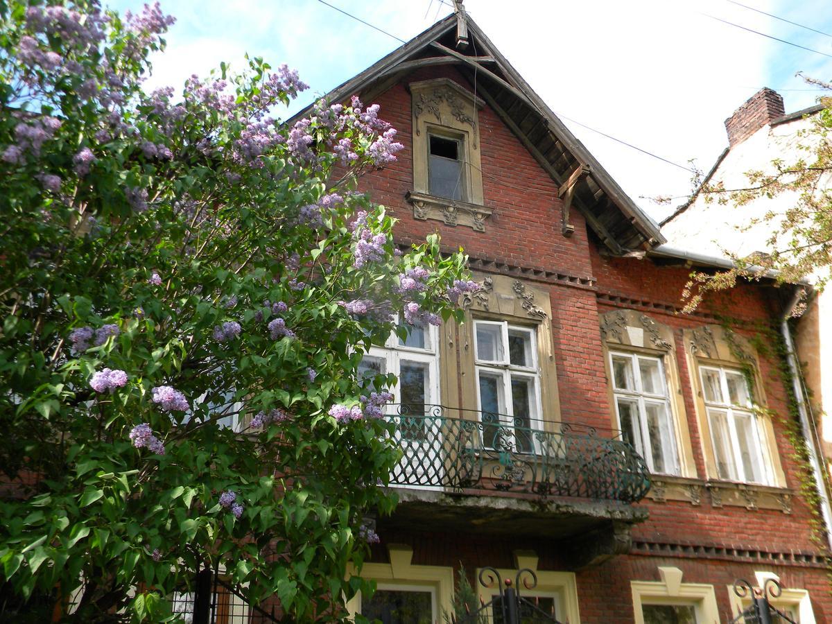 Studios At Anchevskih 3 利沃夫 外观 照片