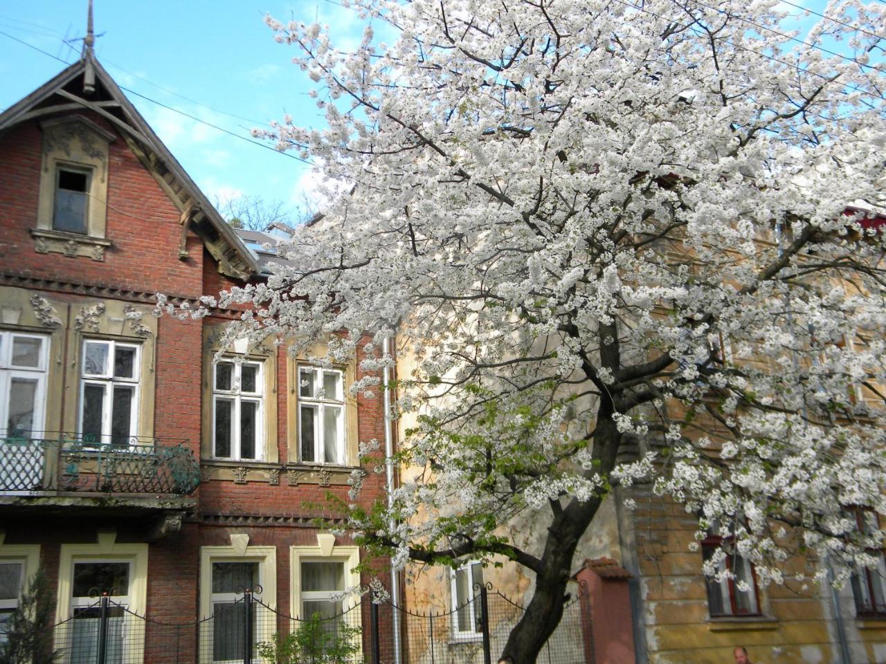 Studios At Anchevskih 3 利沃夫 外观 照片